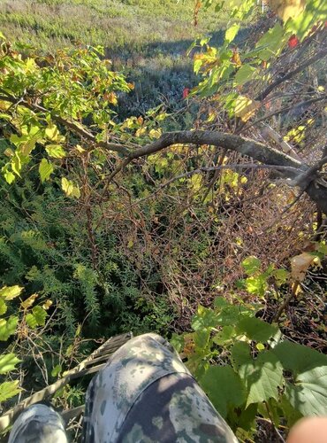 IMG_20251001_083534497_HDR.jpg