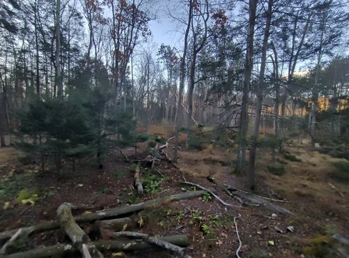 IMG_20251106_072032886_HDR.jpg