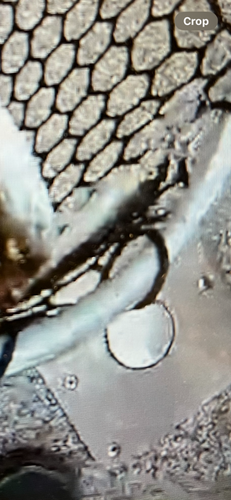 IMG_0073.PNG