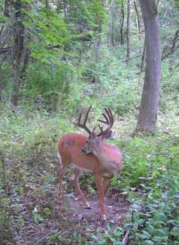 IMG_4341.jpeg