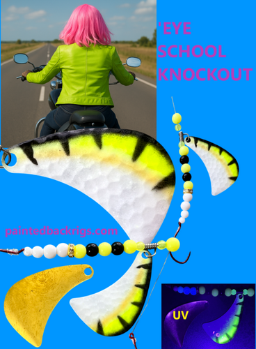 rssImage-25484f755c9b255b6feb7540aee61a4a.png