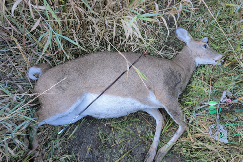 IMG_20260102_000022.thumb.png.709358b552fc5d7336a03572a1d7b580.png