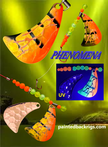 phenomena.png