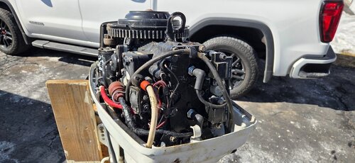 20260301_113421.jpg