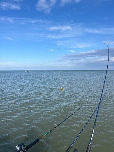 IMG_2333.jpeg