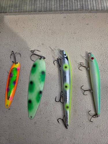 20260418_152448.jpg