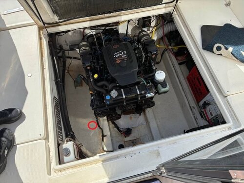 bayliner 289 engine.jpg