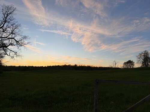 IMG_2786.jpeg