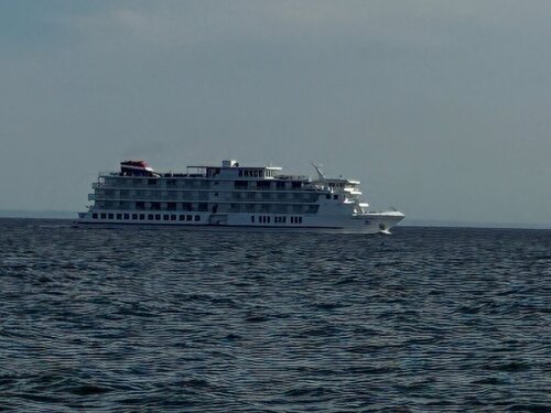 IMG_9101.jpeg