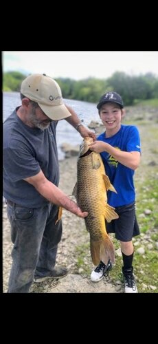 carp.jpg