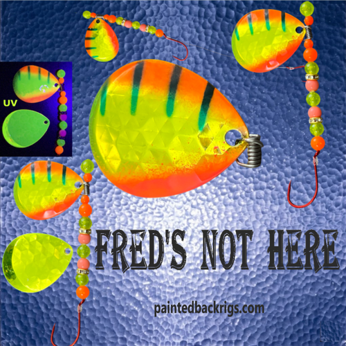 2026 fred's not here.png