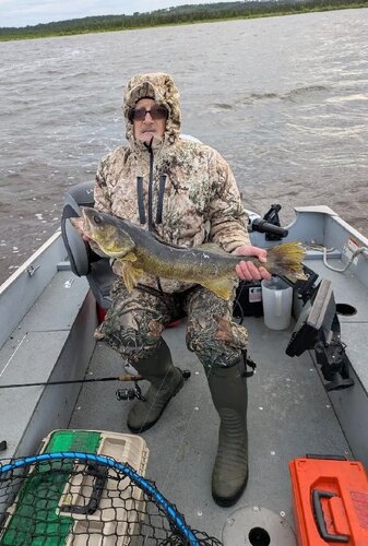 29_75 8_8 walleye.jpg