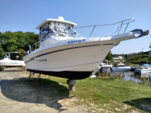 IMG_20240919_141846626_HDR.jpg