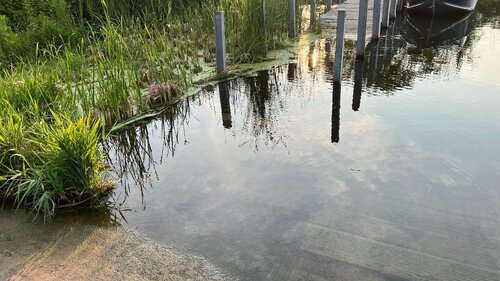 IMG_4268.jpeg