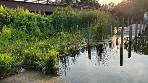 IMG_4270.jpeg