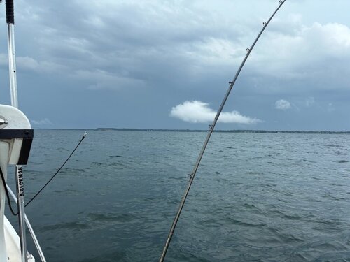 IMG_9465.jpeg