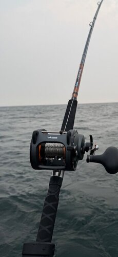 IMG_9660.jpeg
