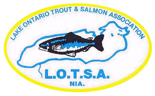 LOTSA_logo.png