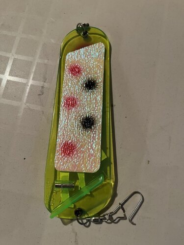 Naked Lady Back Side E Chip Flasher.jpeg