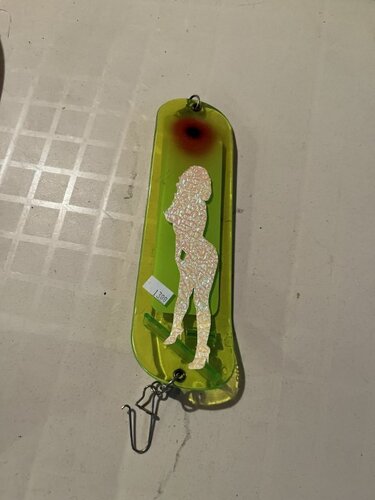 Naked Lady Front Side EChip Flasher.jpeg