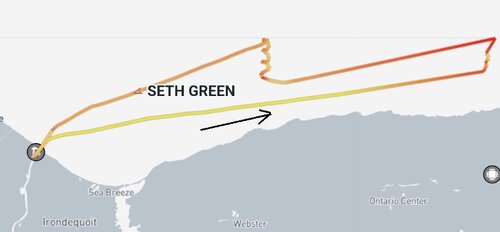 seth.thumb.jpg.cd9490e112020c3331c7e22b533c27ad.jpg