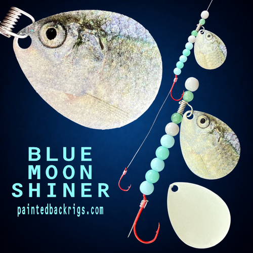 2026 blue moon shiner.png