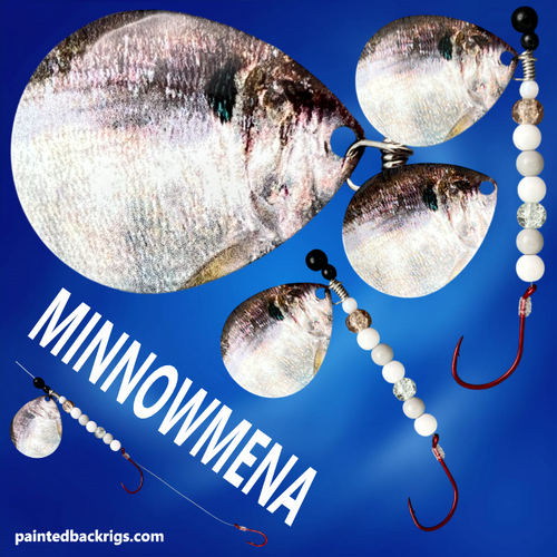 2026 minnowmena.png