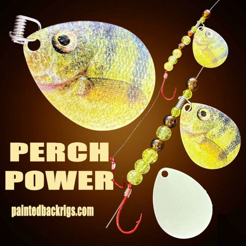 2026 perch power.png