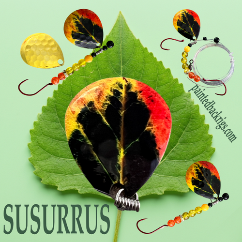 2026 susurrus.png