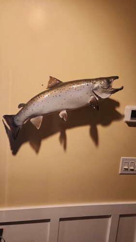 IMG_20260924_205433.jpg