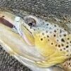 FISHINMAN