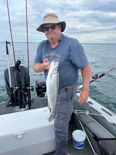 Salmon_1 09_04_2026.png
