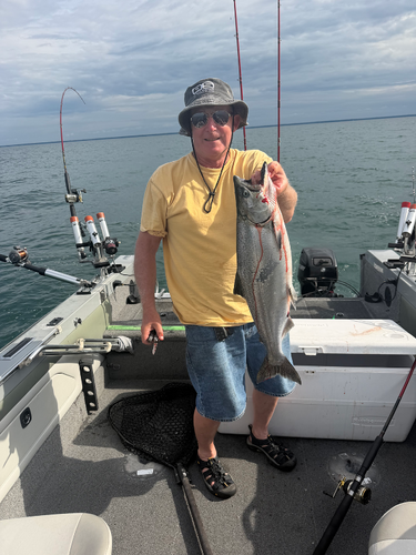Salmon_2 09_04_2026.png