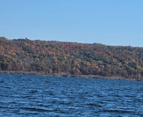 IMG_20261024_153416~2.jpg