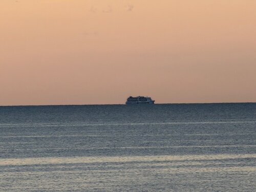 IMG_8916.jpeg