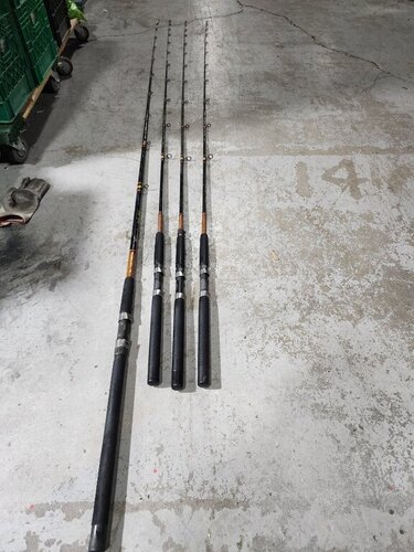 RODS2.jpg